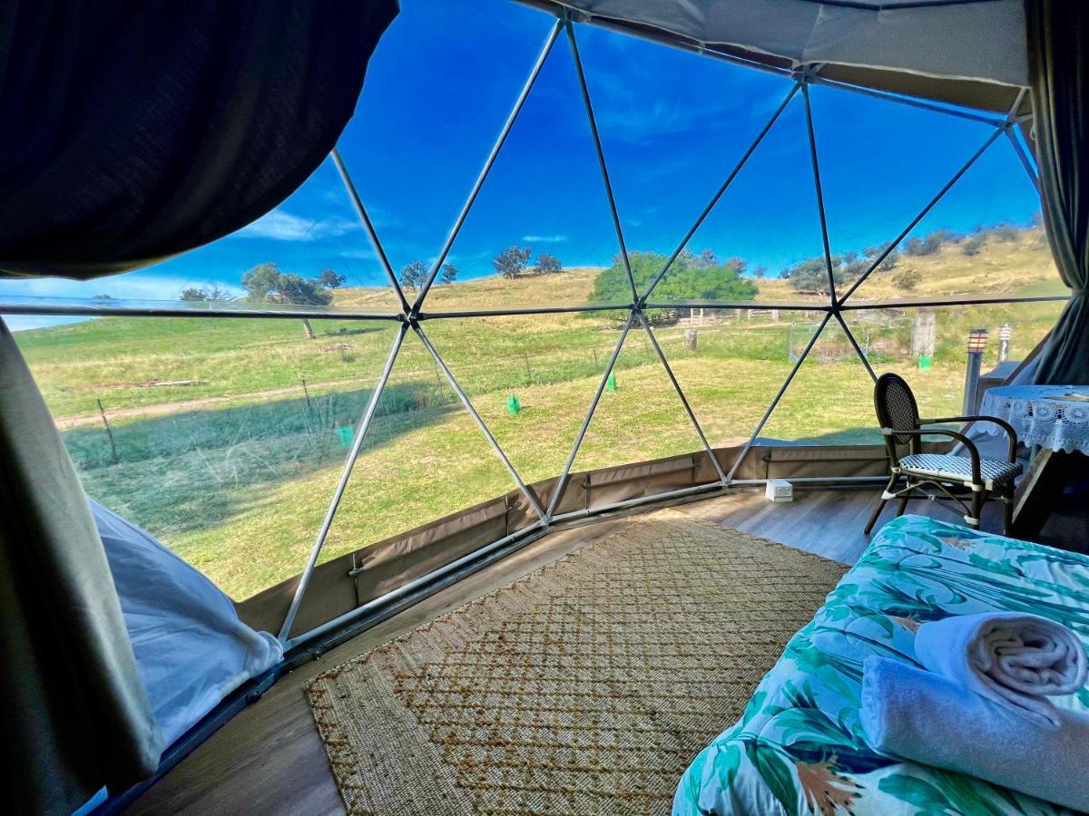 Hillview Farmstay Гандагай Экстерьер фото