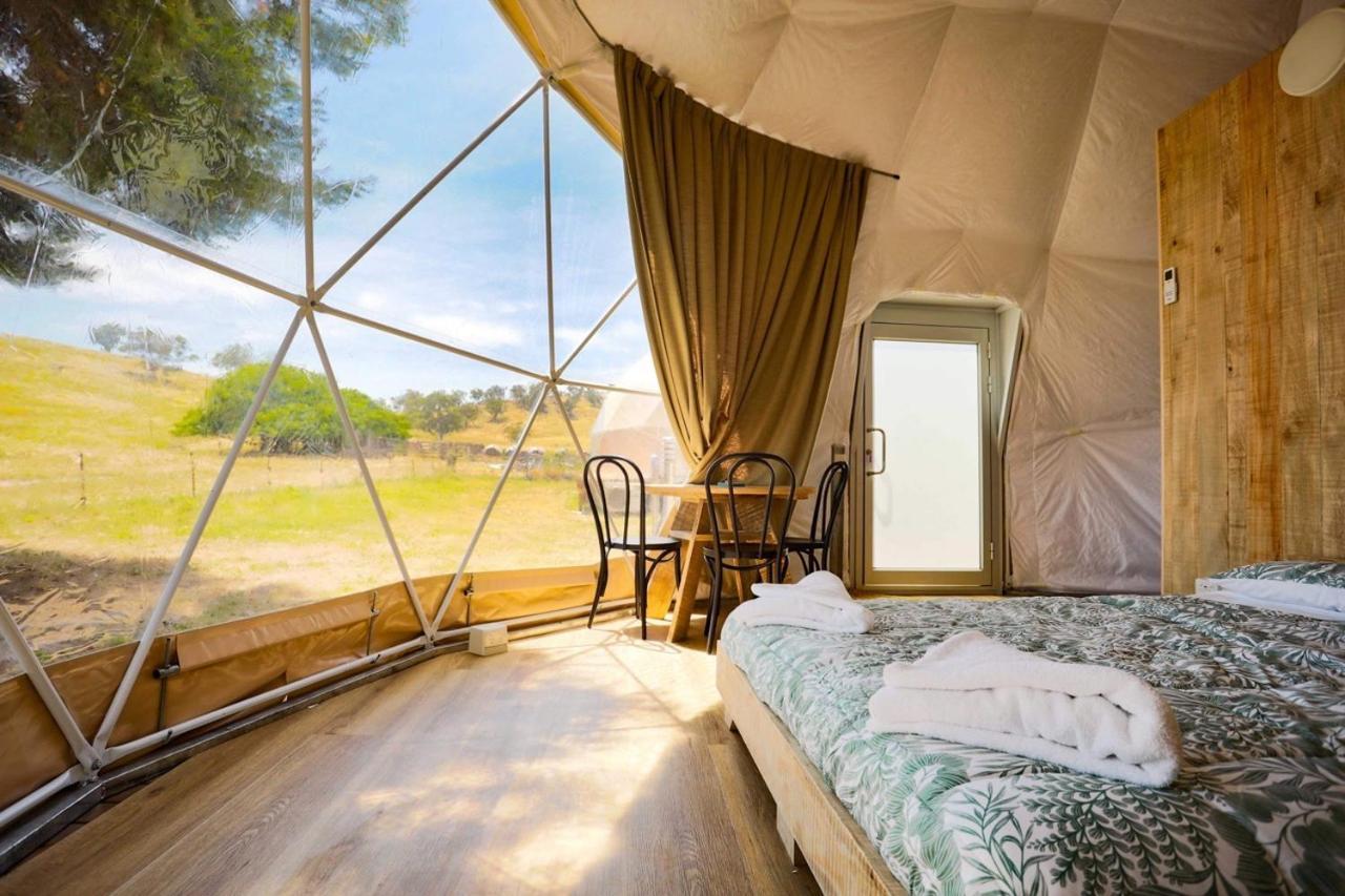 Hillview Farmstay Гандагай Экстерьер фото