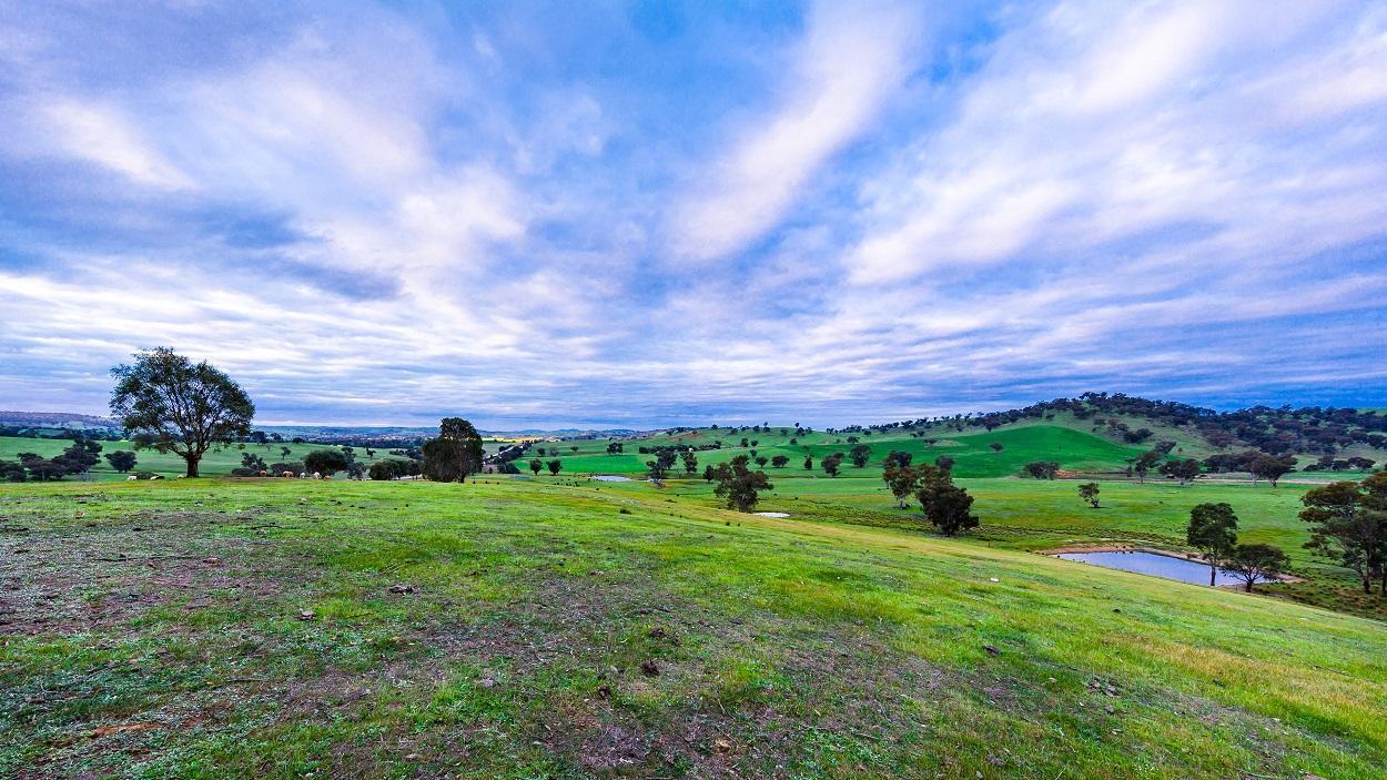 Hillview Farmstay Гандагай Экстерьер фото