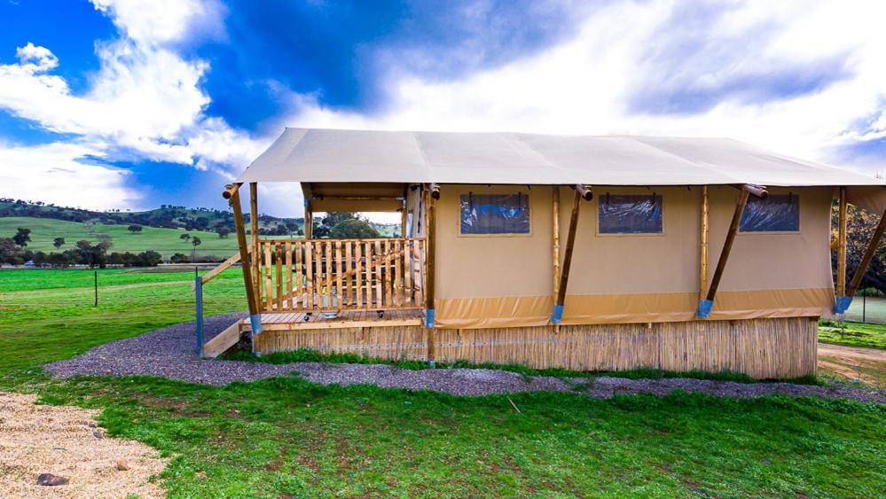 Hillview Farmstay Гандагай Экстерьер фото
