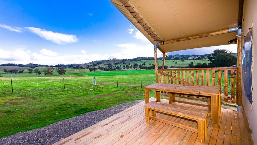 Hillview Farmstay Гандагай Экстерьер фото